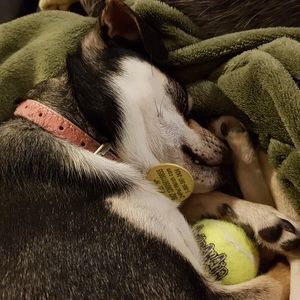 Meet your Posher, Vanessa